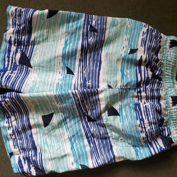 Swim trunks - Picture 2 of 8